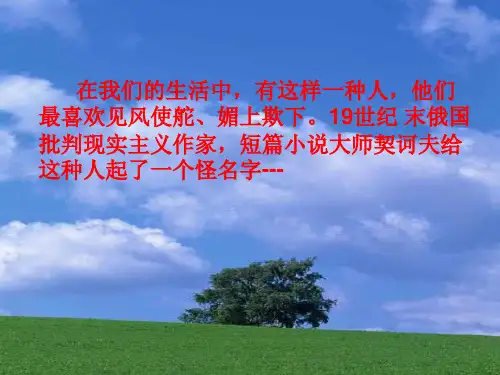 《变色龙》ppt课件(20页)完美版