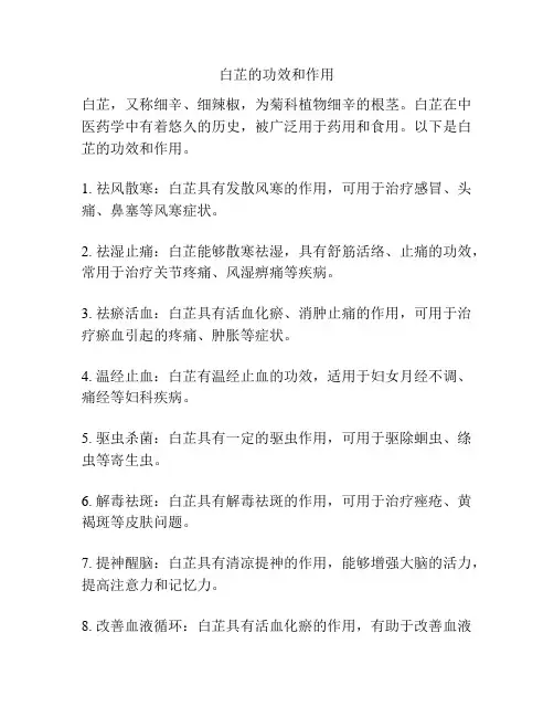 白芷的功效和作用