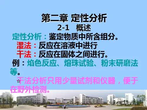 定性分析调PPT课件