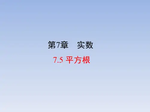 青岛版八年级数学下册平方根课件(共17张)