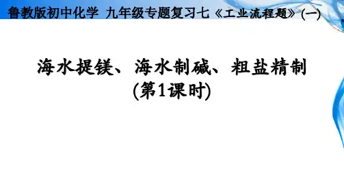 初中化学工业流程题(一)复习课课件