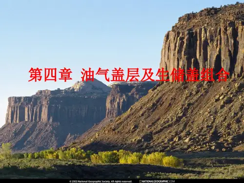 第四章  油气盖层及生储盖组合