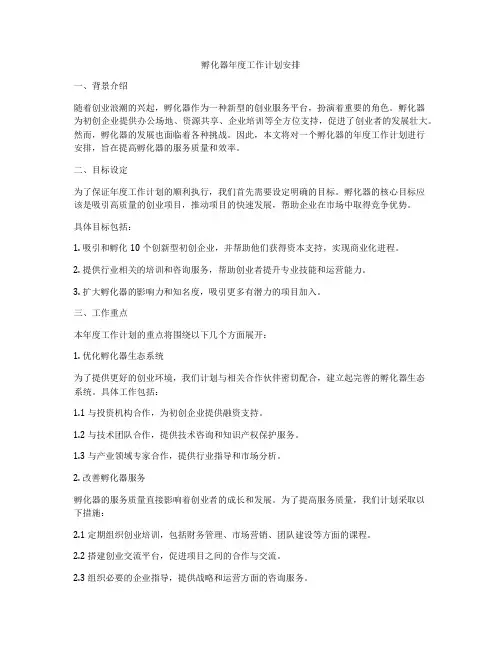 孵化器年度工作计划安排