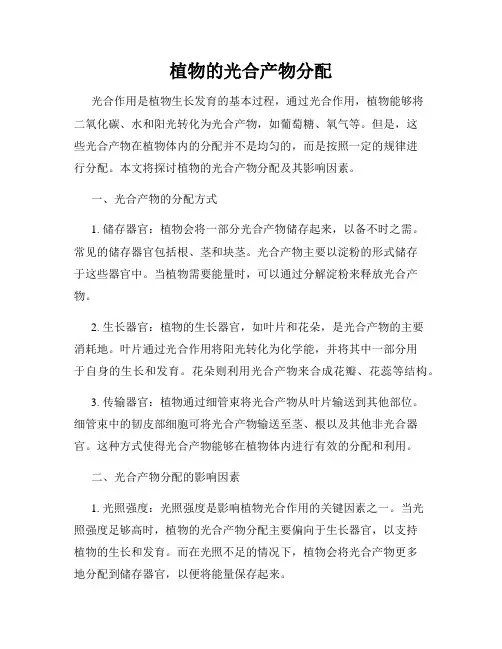 植物的光合产物分配