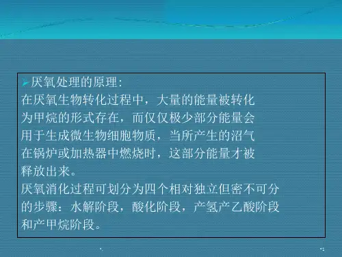 污水处理培训厌氧好氧优秀课件