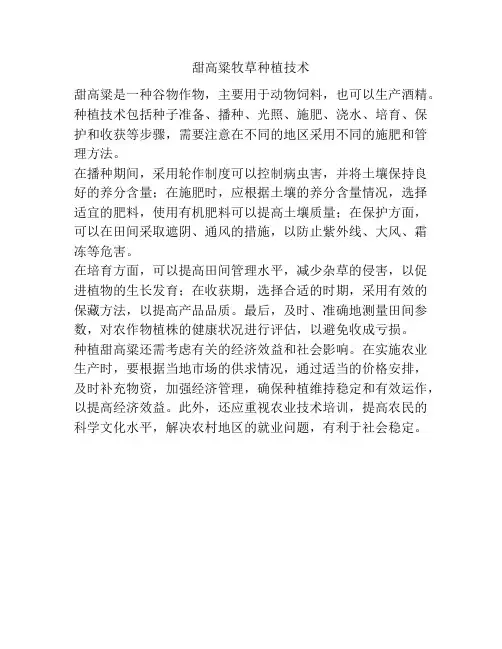 甜高粱牧草种植技术