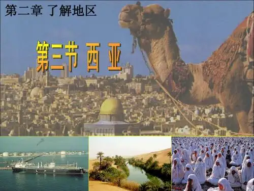 西亚(吴进发)