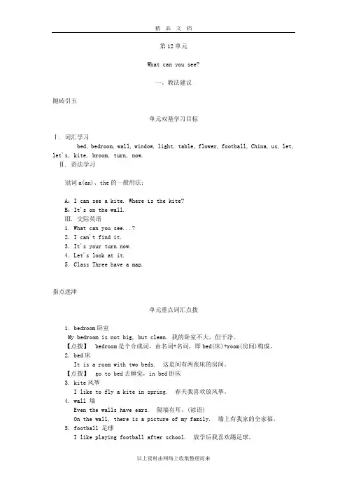 第12单元Whatcanyousee