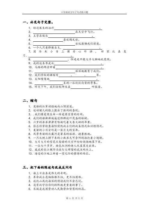 六年级语文句子句式练习题