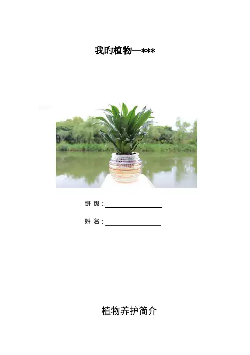 新版幼儿园植物观察记录表