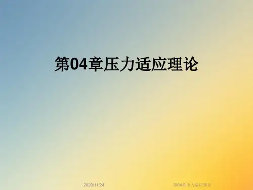 第04章压力适应理论