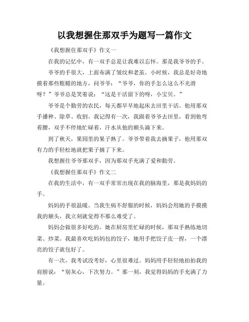 以我想握住那双手为题写一篇作文