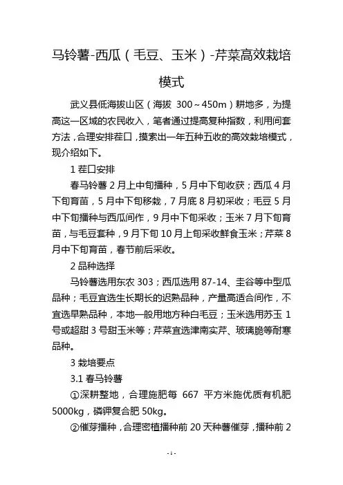 马铃薯西瓜(毛豆、玉米)芹菜高效栽培模式