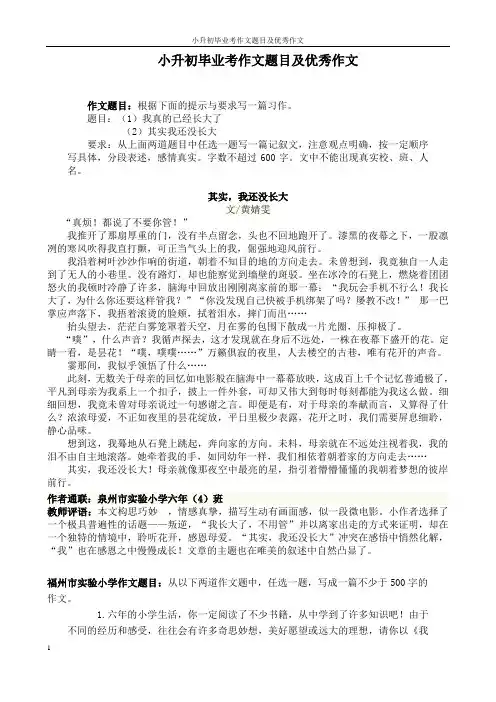 小升初毕业考作文题目及优秀作文