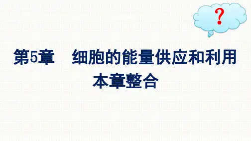 人教版高中生物学必修1精品课件 第5章 细胞的能量供应和利用 本章整合
