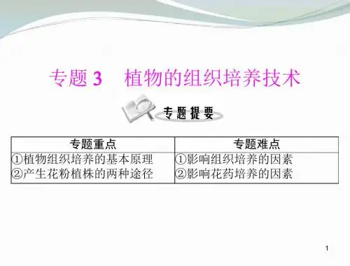 高中生物 专题三 课时1 菊花的组织培养课件 新人教版