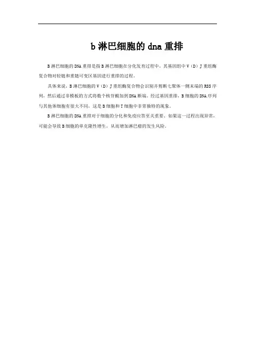 b淋巴细胞的dna重排