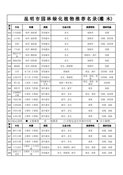 灌木