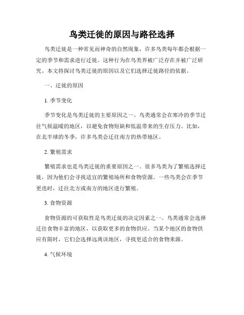 鸟类迁徙的原因与路径选择