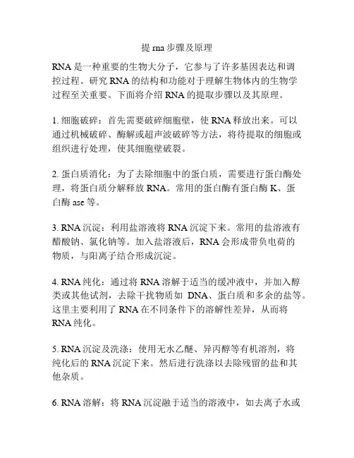 提rna步骤及原理