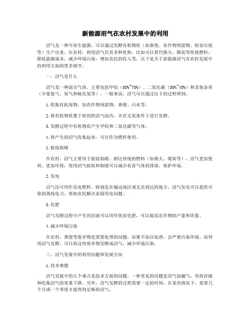 新能源沼气在农村发展中的利用