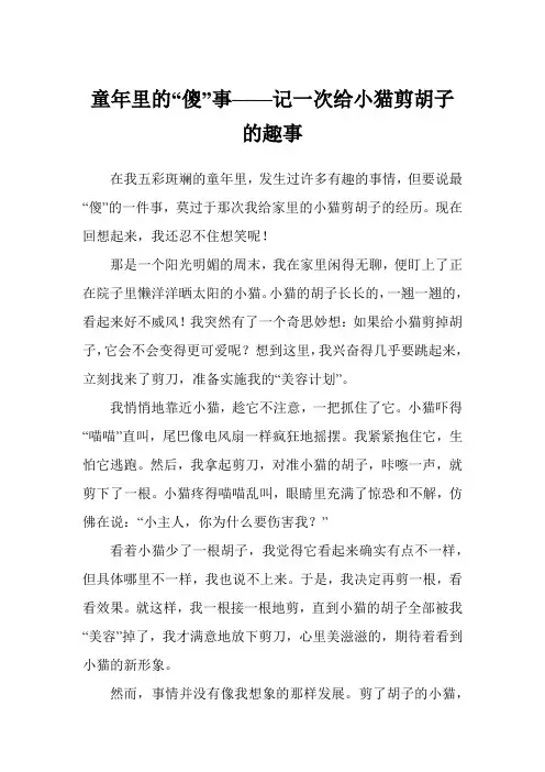 童年里的“傻”事——记一次给小猫剪胡子的趣事