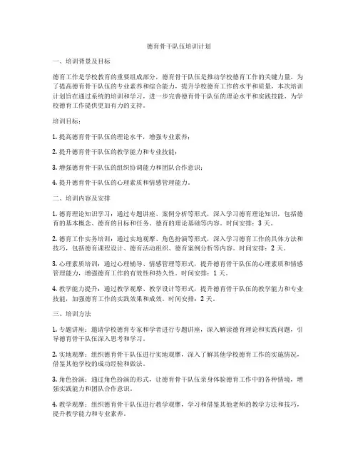 德育骨干队伍培训计划