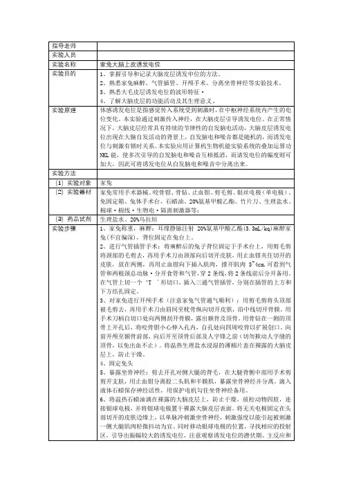 家兔大脑上皮诱发电位