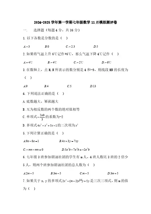 2024-2025学年第一学期七年级数学11月模拟测评卷(含答案)