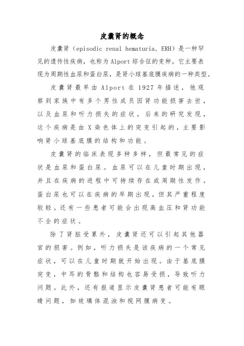 皮囊肾的概念
