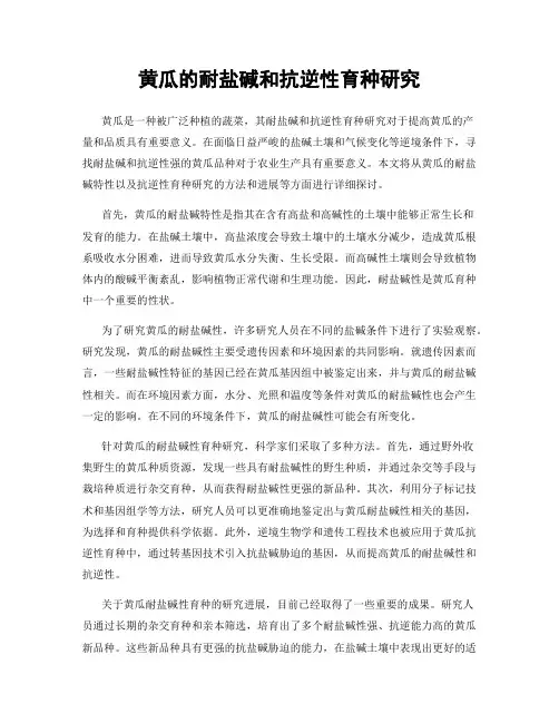 黄瓜的耐盐碱和抗逆性育种研究