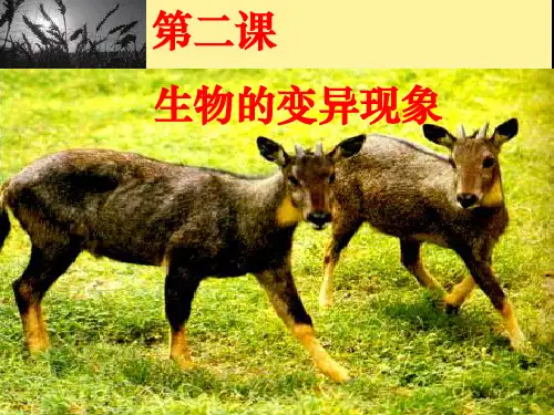 六年级下册科学课件 -2.2 生物的变异现象｜苏教版 (共21张PPT)