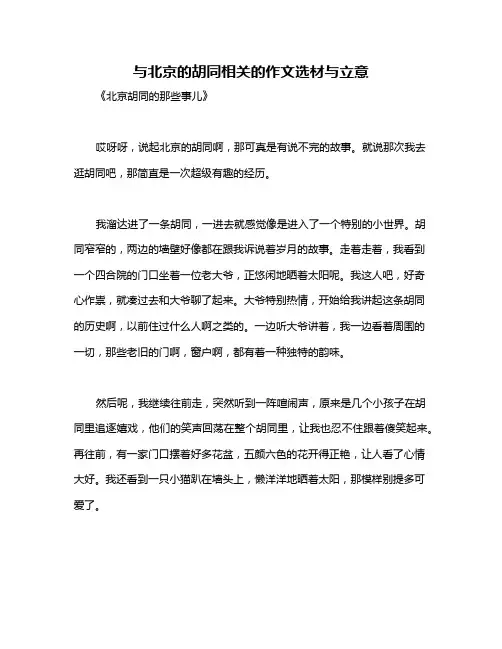 与北京的胡同相关的作文选材与立意