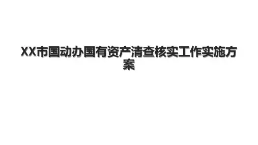 XX市国动办国有资产清查核实工作实施方案.pptx