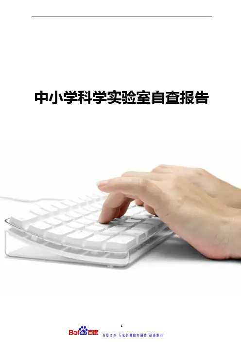 中小学科学实验室自查报告(2020)