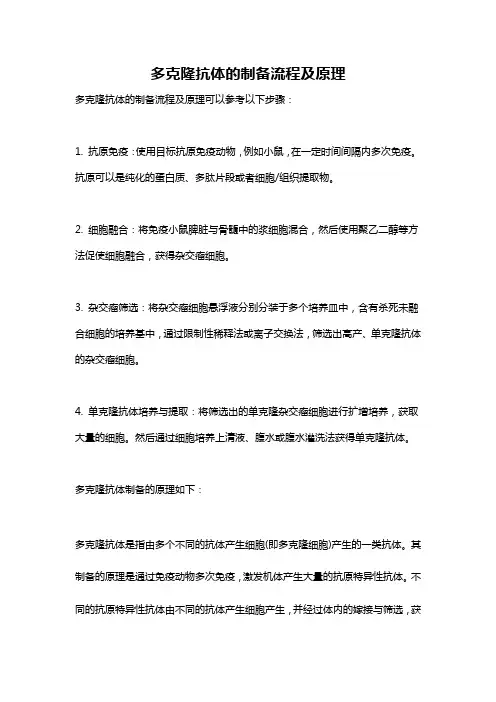 多克隆抗体的制备流程及原理