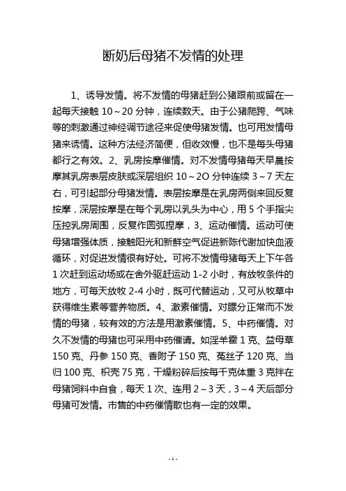 断奶后母猪不发情的处理