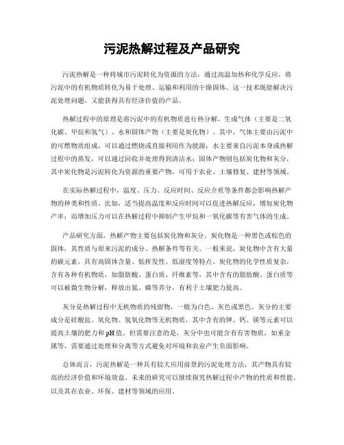 污泥热解过程及产品研究