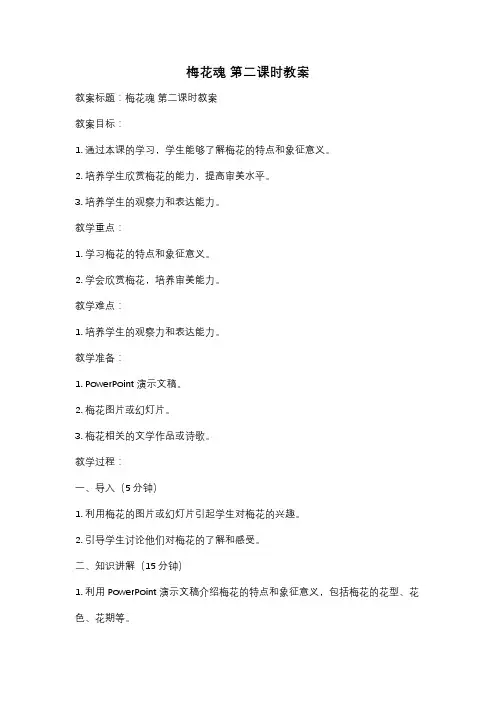 梅花魂 第二课时教案