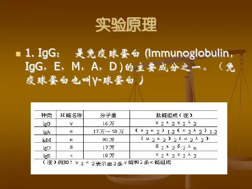 血清IgG的分离和制备ppt课件