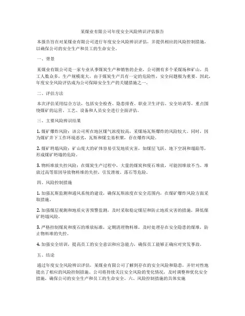 某煤业有限公司年度安全风险辨识评估报告