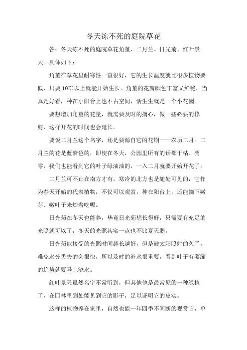 冬天冻不死的庭院草花