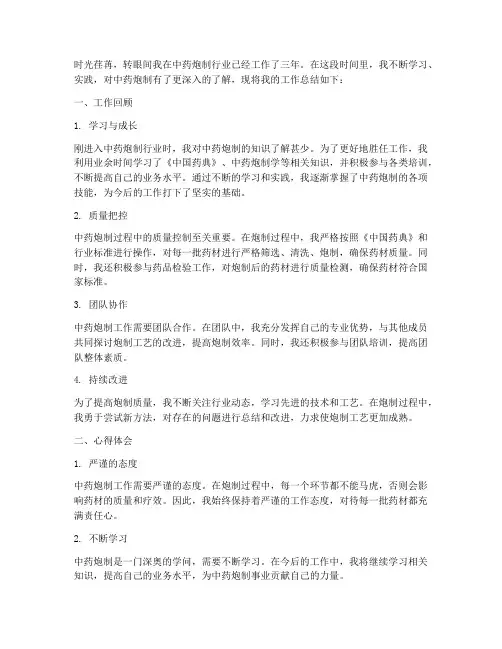 中药炮制个人工作总结