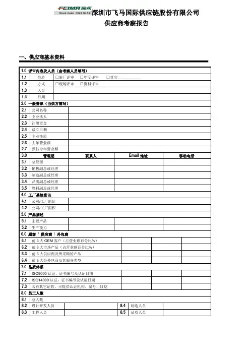 供应商审核报告(新)