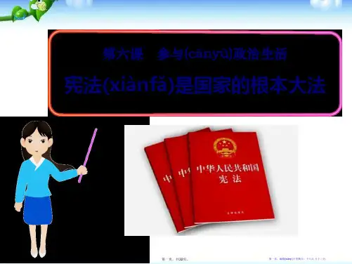 《宪法是国家的根本大法》参与政治生活PPT课件