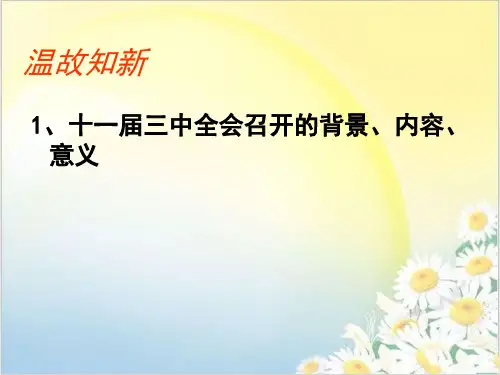 人教版高一历史必修二课件：第13课 对外开放格局的初步形成 (共29张PPT)