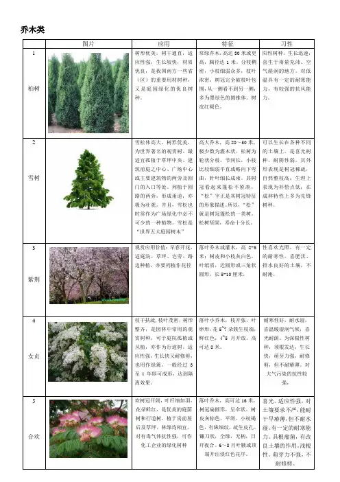 60种植物整理-乔木类