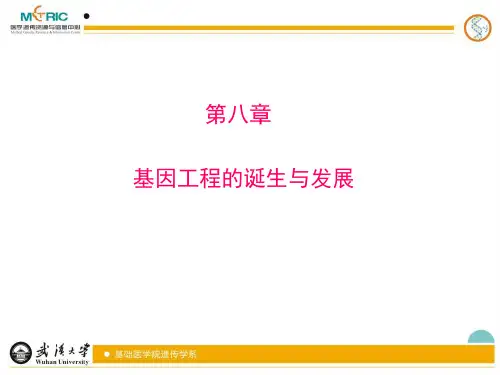 第八章 基因工程的诞生与发展