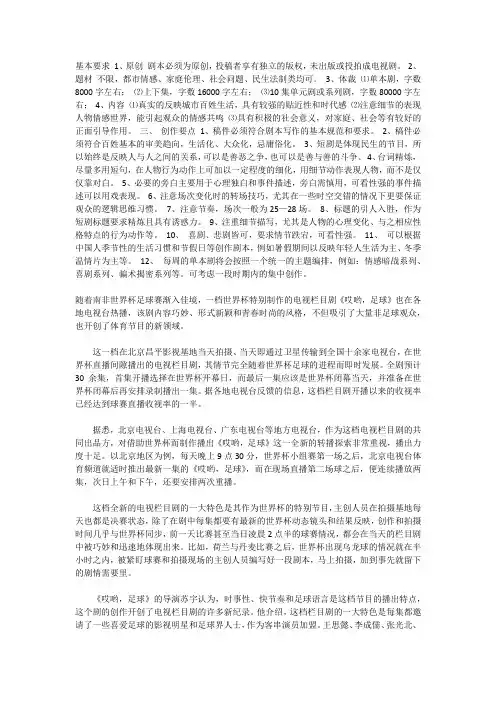 电视栏目剧分析.docx