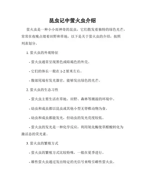 昆虫记中萤火虫介绍